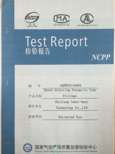 Pneumatic Speed Controller Test Report