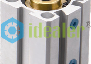 Pneumatic cylinder